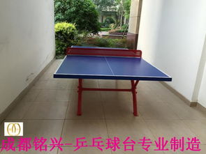 資陽乒乓球臺選購指南 品牌推薦與現(xiàn)貨優(yōu)勢解析