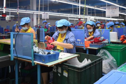 生產(chǎn)玩具 脫貧致富